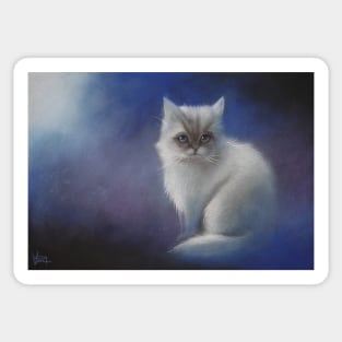 White Kitten Sticker